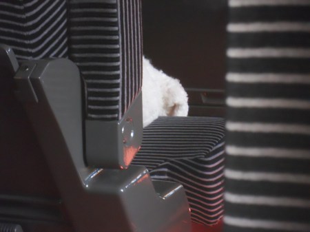 French Dog on a French Train