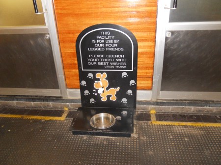 Dog Water at Coventry