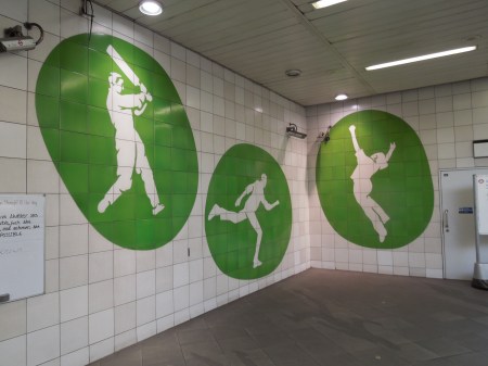 What Goes On Near Here?