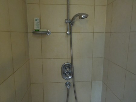 My Stone-Cold Leaking Shower