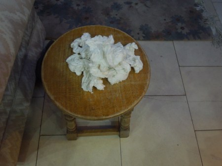 An Afternoon Of Rhinitis