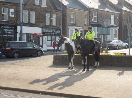 Police Horses At Hillsborough