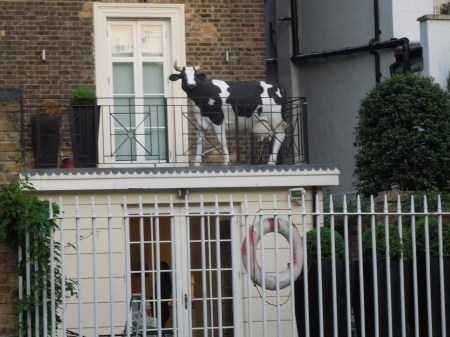 How Did That Get There?