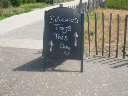 Delicious Things This Way