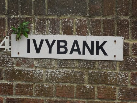 Ivy Bank