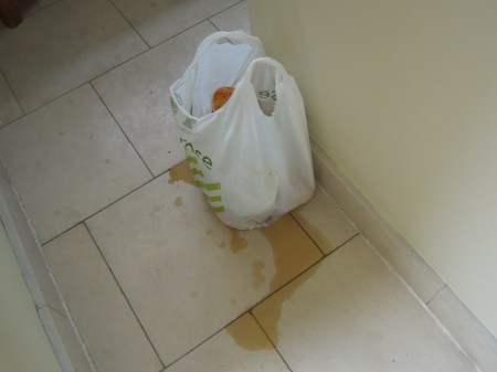 A Rubbish Bag Failure