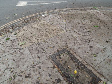 Crushed Walnuts Everyone?