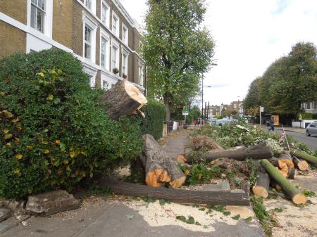 Damage In Southgate Road