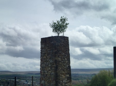 How Did They Get There?