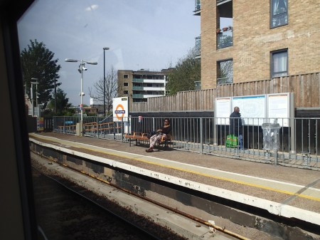 Enjoying The Sun On The Overground