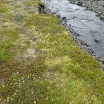 Up A Valley To A&nbsp;Waterfall