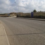 Barking Riverside Wildlife