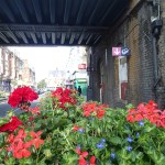 OLYMPUS DIGITAL CAMERA