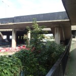 Looking Up At The Bus&nbsp;Stop