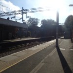 OLYMPUS DIGITAL CAMERA