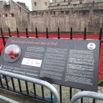 The Poppies In The&nbsp;Rain