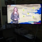 The Zebra With The Weather