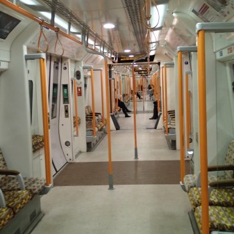 A Forest Of Orange Poles