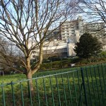 The Royal Free&nbsp;Hospital