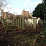 An Overegrown Jewish&nbsp;Cemetery