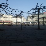 Trams In The Königsplatz,&nbsp;Kassel