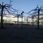 Trams In The Königsplatz,&nbsp;Kassel