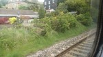 Rounding The Todmorden Curve