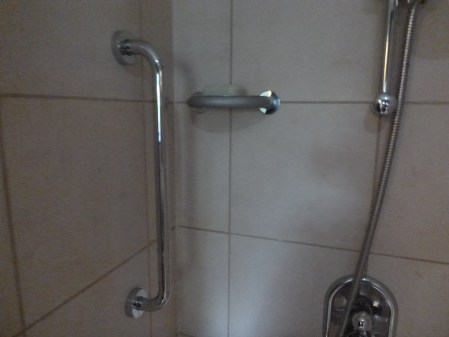 A Handhold In My Shower