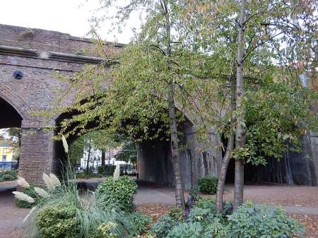 The North London Line Crosses Camden Gardens