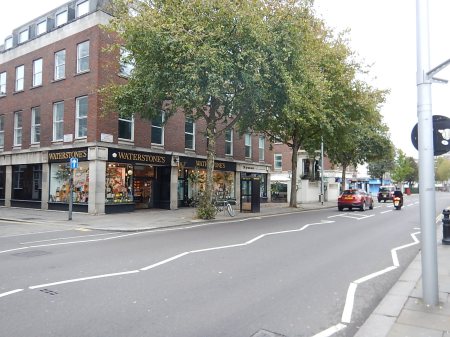 Along The Kings Road