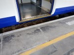 Platform Gap