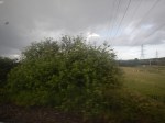 DSCN0021