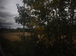 DSCN0056