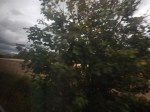 DSCN0057