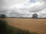 DSCN0059