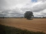 DSCN0060