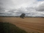 DSCN0061